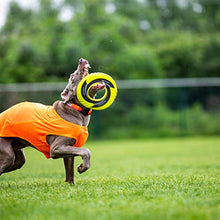Load image into Gallery viewer, SKIPDAWG Interactive Dog Tug Toy, Flying Disc Dog Toy Light Weight TPR/Nylon Fabric Non-Toxic Material, Pet Training Toys/Outdoor Exercise Toys for Dogs, Diameter 9 Inches
