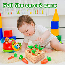 Load image into Gallery viewer, Educational Toys for 1 2 3 Year Old Baby Girls, Montessori Toddler Toys Age 1 2 3 Wooden Toy Birthday Gift for 1-3 Year Old Babies Boys Girls Stacking Games for 6 Month 1 2 3 Year Old Toddlers Present
