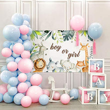 Load image into Gallery viewer, Yiran Pink Blue Balloons Garland Arch Kit, 110pcs Baby Blue Balloons Baby Pink Balloons White Balloons Gender Reveal Party Decorations, for He or She Party, Boy or Girl Party
