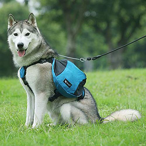 Dog Backpack Hound Travel Camping Hiking Backpack Saddle Bag Hound Harness for Dogs Rucksack with 2 Side Pockets for Medium & Large Dog (L Blue)