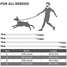 Load image into Gallery viewer, Taglory Reflective Dog Training Lead, Neoprene Padded Handle and Metal Hook, 1.2 m x 2.0 cm Nylon Leash for Small Dogs, Hot Pink

