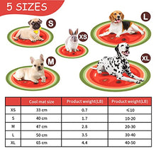 Load image into Gallery viewer, Furrybaby Dog Cooling Mat, Pet Bed Dog Mat Self-Cooling Pad Cool Gel Bed Large Dog Cooling Pads Mats, No Need to Refrigerate or Freeze, Apply Indoors Outdoors Car(Watermelon XL 65cm)
