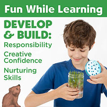 Load image into Gallery viewer, Creativity for Kids Grow &#39;N Glow Terrarium Kit - Art and Craft Gift Educational Science Project Activities for Kids
