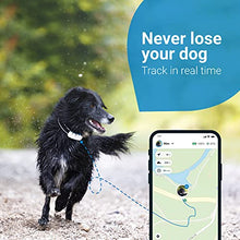 Load image into Gallery viewer, Tractive GPS DOG 4. Dog Tracker. Always know where your dog is. Keep them fit with Activity Monitoring. Unlimited range. (Snow)
