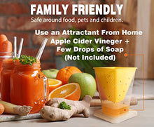 Load image into Gallery viewer, 4x Fruit Fly Trap Indoor Gnats Trap Reusable Fruit Flies Catcher Environmentally Responsible Fruit Fly Killer Pet and People Safe
