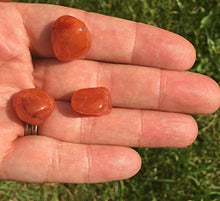 Load image into Gallery viewer, 3 Pc Carnelian Small-Medium Crystal Tumble Stones
