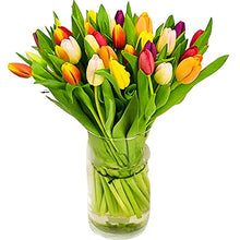 Load image into Gallery viewer, All Occasions Tulip Selection Hand-Tied, Beautiful Fresh Flowers, A Perfect Mother&#39;s Day Fresh Flower Gift
