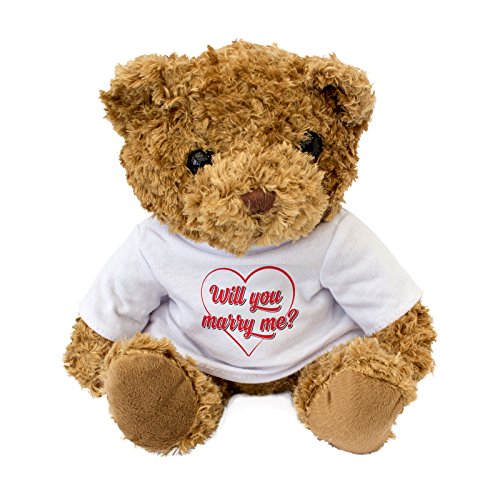 NEW - WILL YOU MARRY ME - Teddy Bear - Cute Cuddly - Present Gift Romance Love Valentine