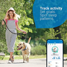 Load image into Gallery viewer, Tractive GPS DOG 4. Dog Tracker. Always know where your dog is. Keep them fit with Activity Monitoring. Unlimited range. (Snow)
