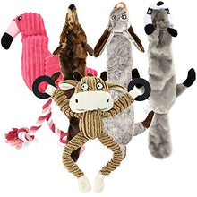 Load image into Gallery viewer, Buddy Wild Plush Dog Toys - Squeaky, cuddly soft chew bundle - 5 pack set - durable, interactive toys for puppy and small dogs - variety with 3 no stuffing animals
