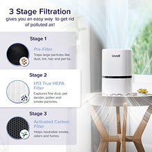 Load image into Gallery viewer, do air purifiers work for smoke
