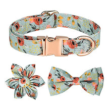 Load image into Gallery viewer, Dog Collar, Adjustable Dog Collars with Metal Quick Release Buckle, Daisy Tie &amp; Bow tie Collar Dogs Collars (Green)
