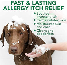 Load image into Gallery viewer, Vet&#39;s Best Allergy Itch Relief Dog Shampoo, 16 oz
