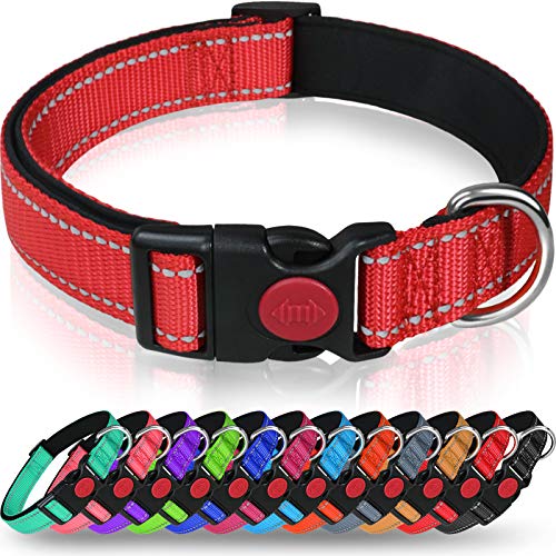 Taglory Reflective Nylon Dog Collar with Safety Buckle, Adjustable Pet Collars with Soft Neoprene Padding for Medium Dogs, Red
