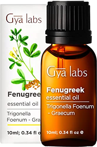 Gya Labs Fenugreek Essential Oil for Hair Growth (10ml) - Pure, Therapeutic Grade Fenugreek Oil - Perfect for Aromatherapy, Hair Growth, Dry Scalp, Irritated Skin - Use for Diffusion, Skin or Hair