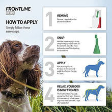 Load image into Gallery viewer, FRONTLINE Plus Flea &amp; Tick Treatment for Large Dogs (20-40 kg) - 6 Pipettes
