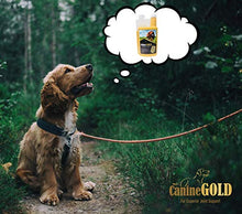 Load image into Gallery viewer, Canine Gold - Hip and Joint Care Supplement For Dogs - 100% Natural Ingredients (500ml)
