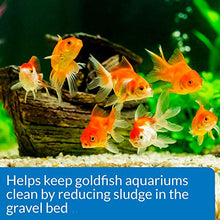 Load image into Gallery viewer, API GOLDFISH AQUARIUM CLEANER Aquarium Cleaner 118 ml Bottle
