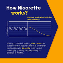 Load image into Gallery viewer, Nicorette 4mg Nicotine Gum to Help Quit Smoking with Behavioral Support Program - Fruit Chill Flavored Stop Smoking Aid, 160 Count - Amazon Exclusive
