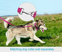 Load image into Gallery viewer, Taglory Reflective Dog Training Lead, Neoprene Padded Handle and Metal Hook, 1.2 m x 2.0 cm Nylon Leash for Small Dogs, Hot Pink
