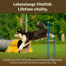 Load image into Gallery viewer, Veddelholzer Dog Joint Tablets with Greenlipped Mussel MSM and Devil's Claw Glucosamine and Collagen from Germany 125 Capsules Treats with Hyalurron &amp; Omega3
