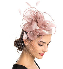 Load image into Gallery viewer, Fascinator Hat Feather Mesh Net Veil Party Hat Flower Derby Hat with Clip and Hairband for Women, Mittel, A2-Floral Mesh Pink
