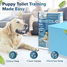 Load image into Gallery viewer, PetCellence Puppy Training Pads 30 Pack - 60cm x 60cm Premium Super Absorbent Large Puppy Pads for Dog Toilet Wee Wee Mats, 6 Layers Dog Pee Pad with Adhesive Sticky Tabs
