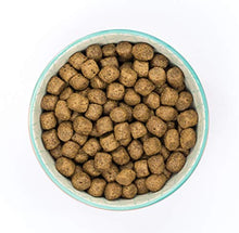 Load image into Gallery viewer, Burns Pet Nutrition Hypoallergenic Complete Dry Dog Food Adult and Senior Dog Sensitive with Duck and Brown Rice 2 kg
