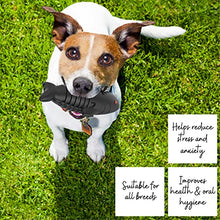 Load image into Gallery viewer, Dog Toys, Squeaky Dog Chews. Durable Natural Rubber Toothbrush. Pet Dental Care &amp; Plaque Removal for Small to Large Dogs
