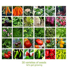 Load image into Gallery viewer, Scott &amp; Co. Seed Sack - 30 Variety Pack of Mixed Vegetable and Herb Seeds, High Yield Indoor and Outdoor Planting Gardeners Heirloom Veg Set. Gardening Gift

