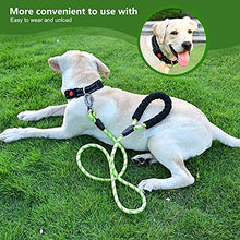 Load image into Gallery viewer, Amazon Brand - Umi Reflective Dog Collar, Adjustable Basic Dog Collar with Safety Locking Buckle and Soft Neoprene Padded, Durable Nylon Pet Collars for Puppy Small Medium Large Dogs
