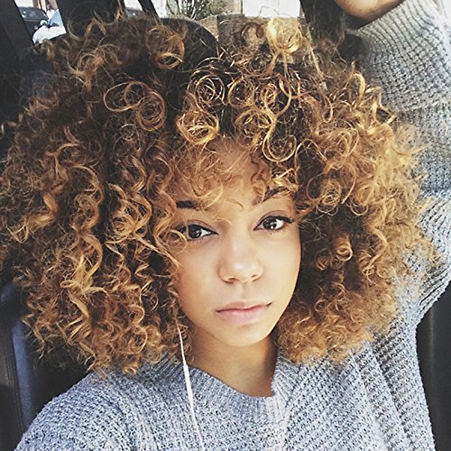 Jodiss Short Curly Blonde Wig Afro Kinky Wigs for Black Women Synthetic Heat Resistant Fluffy Wigs Soft Bouncy Curls Hair Wig (Color-4)