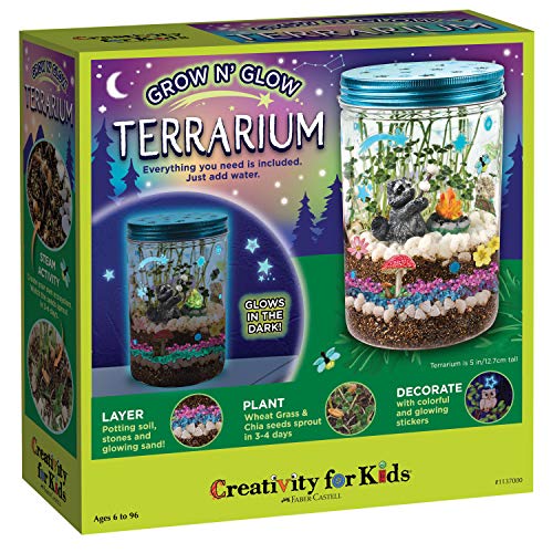 Creativity for Kids Grow 'N Glow Terrarium Kit - Art and Craft Gift Educational Science Project Activities for Kids
