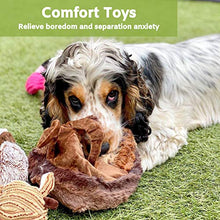 Load image into Gallery viewer, Buddy Wild Plush Dog Toys - Squeaky, cuddly soft chew bundle - 5 pack set - durable, interactive toys for puppy and small dogs - variety with 3 no stuffing animals
